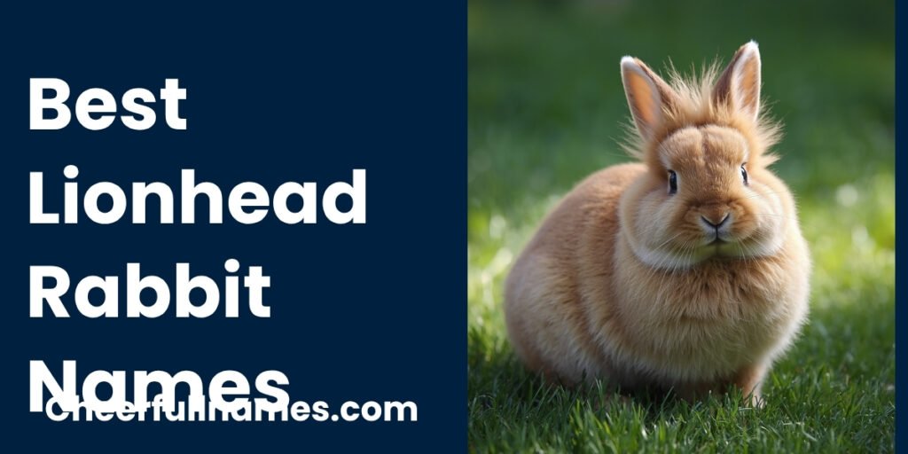 Best Lionhead Rabbit Names