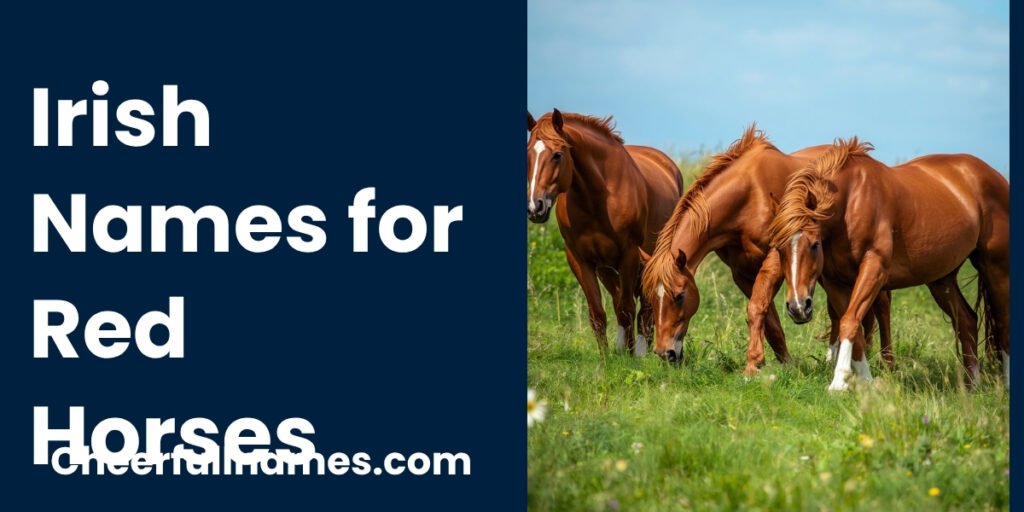 Irish Names for Red Horses