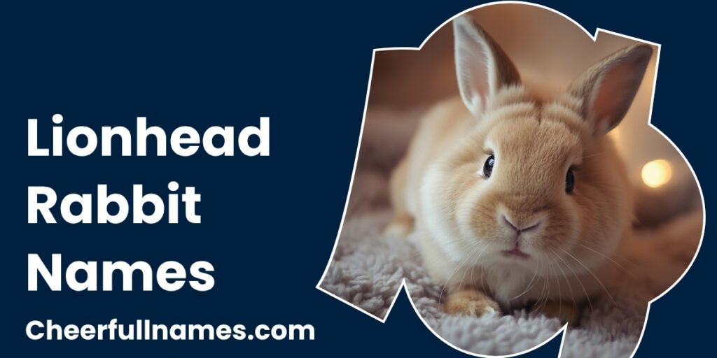 Lionhead Rabbit Names